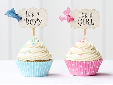 Gender Reveal